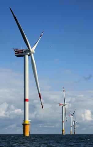 Windmills_D1D4__Thornton_Bank.jpg